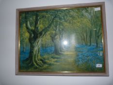Framed Print of a Woodland Scene