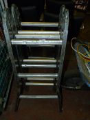 *Surveyor's Folding Ladder