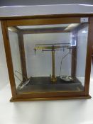 Pharmaceutical Scales