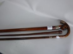 Two Walking Sticks