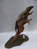 Taxidermy Subject of a Lizard