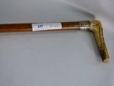 Horn Handled Walking Stick