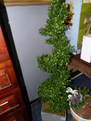 *SPIRAL TOPIARY IN PLANTER
