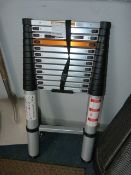 *BATAVIA TELESCOPIC LADDER