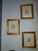 Three Gilt Framed Prints