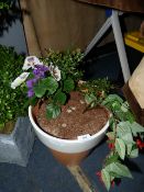 *Artificial Potted Plant