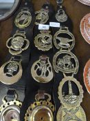 Selection of Horse Brasses