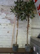 Pair of Artificial Bay Trees