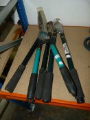 Two Sets of Pruners and a Pair of Shears