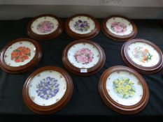 Eight Royal Albert Decorative Plates Depicting Flowers