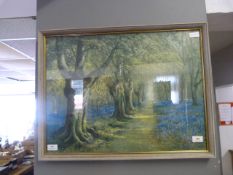 Framed Print Depicting Forest Scene