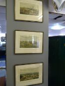 Set of Three Framed Prints 