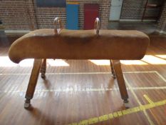 *Niels Larsen Pommel Horse