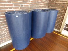 *Three Gymnasium Mats