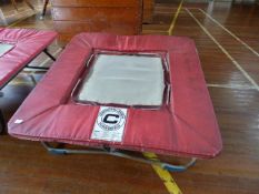 *Continental Sports Trampet