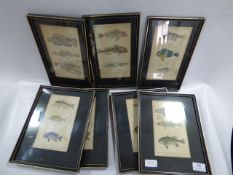 7 Anglican Lithographic Prints