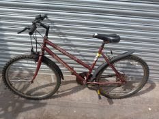 Margarita Ladies Mountain Bike (Brown)