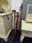 Assorted Walking Sticks
