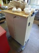 Lockable Medicine Cabinet on Wheels