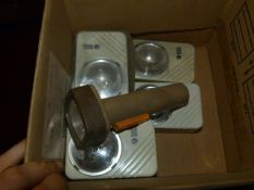 *Box Containing Seven Eveready Torches