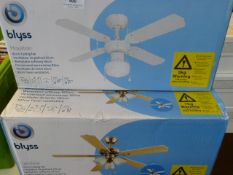 *BLYSS HUSTON AND A BLYSS CAROLINA CEILING LIGHTS