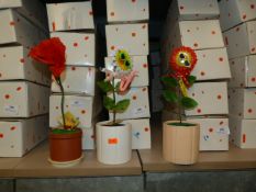 *Ten Dancing Flowers