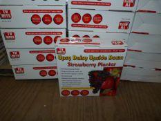 *Forty Eight Upsy Daisy Strawberry Planters