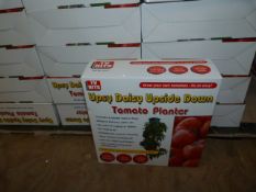 *Forty Eight Upsy Daisy Tomato Planters