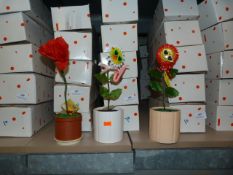 *Ten Dancing Flowers