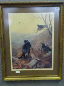 Archibald Thorborne Black Grouse Limited Edtion Print