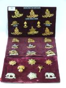 Three Trays of Military Cap Badges