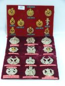 Three Trays of Military Cap Badges