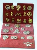 Three Trays of Military Cap Badges