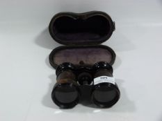 Pair of Binoculars in Case