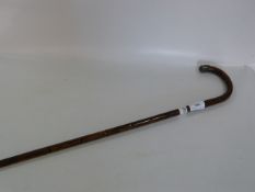 Bamboo Walking Stick