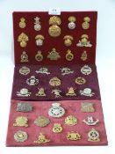Three Trays of Military Cap Badges