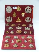 Three Trays of Military Cap Badges