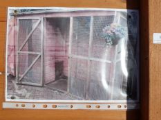 Large Dog Kennel with Run