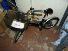 Challenge Flex Folding Cycle