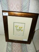 Framed Print Depicting a Flower