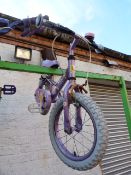 *Girl's Sweet Pea Cycle (Purple)