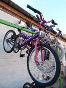 Girl's Vixen Cycle (Purple and Pink)