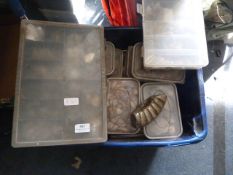 Large Collection of Fossils