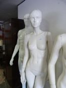 Female Mannequin
