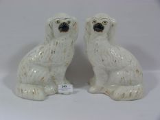 Pair of Staffordshire Spaniel Dogs