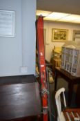 Pair of Vintage Skis