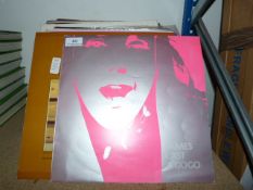 Collection of LP Records