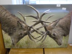 Unframed Printed Canvas of 