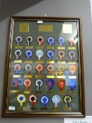 Framed Display Board Depicting the FA Cup Weberly Winners 1923-1999