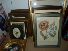 Selection of Framed Prints